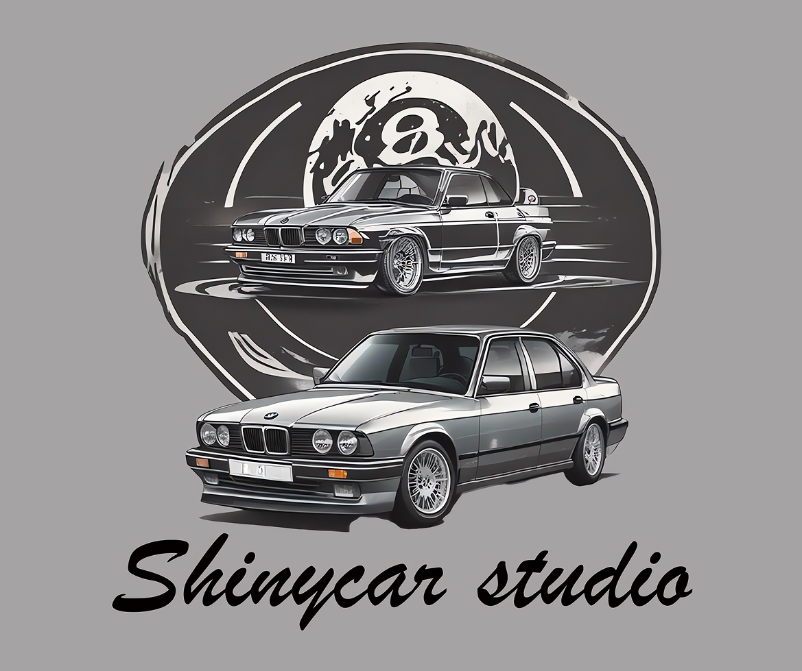Shinycar Studio Nettoyage Automobile Metz Shinycar LOGO
